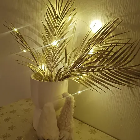 31m2 Apartment